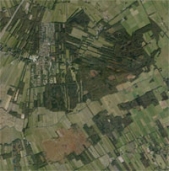 Welkom